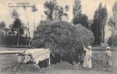 Lourdes - Types Des Pyrenees - Scene De Fenaison - Attelage De Boeufs -
																					65100 Lourdes
																			