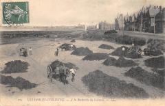 Les Sables D'Olonne - A La Recherche Du Goemon -
																					85100 Les Sables-d'Olonne
																			