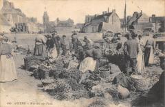 Amiens - Marche Sur L'Eau à Amiens
