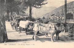 Lourdes - Un Attelage Paysan -
																					65100 Lourdes
																			