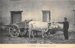Lourdes - Attelage Pyreneen -
																					65100 Lourdes
																			