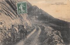 Les Pyrenees - Retour D'Excursion