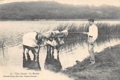 Types Basques - Le Bouvier