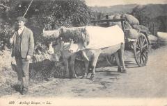 Attelage Basque