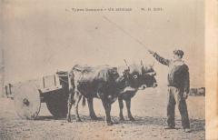 Types Basques - Un Attelage