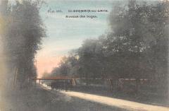 Saint Germain En Laye - Avenue Des Loges -
																					78100 Saint-Germain-en-Laye
																			