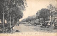 Angers - Le Marche Aux Fleurs - Boulevard De La Mairie à Angers