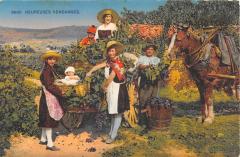 Cote D'Azur - Heureuses Vendanges