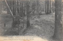 La Chipote - Nos Tombes Sous Les Futaies Massacrees -
													88 Vosges
												