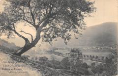 Ballon D'Alsace - Vallee De Lepuix Gy -
													88 Vosges
												