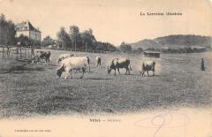 Vittel - Geremoy -
																					88800 Vittel
																			