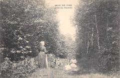 Bois De Cise - Allee Du Paradis