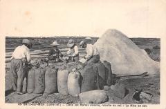 Batz Sur Mer - Dans Les Marais Salants - Recolte Du Sel - Mise En Sac -
																					44740 Batz-sur-Mer
																			