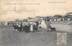 Soulac Sur Mer - Chevrier Et Son Troupeau Sur La Plage -
																					33780 Soulac-sur-Mer
																			