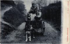 Dogs -
													69 Rhône
												
