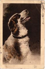 Dogs -
													69 Rhône
												