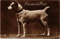 From your old Friend Dogs -
													69 Rhône
												