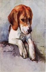 Foy Hound Dogs