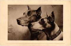 Dogs -
													69 Rhône
												