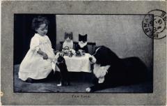 Tea time Dogs -
													69 Rhône
												