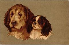 Dogs -
													69 Rhône
												
