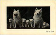 We are Seven Dogs -
													69 Rhône
												