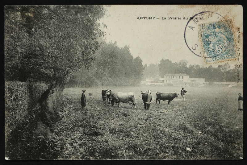 Carte postale ancienne La prairie du Moulin à Antony