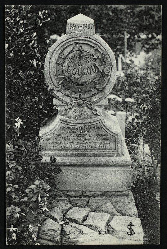 Carte postale ancienne Cimetière des Chiens. Tombe de Loulou à Asnières-sur-Seine