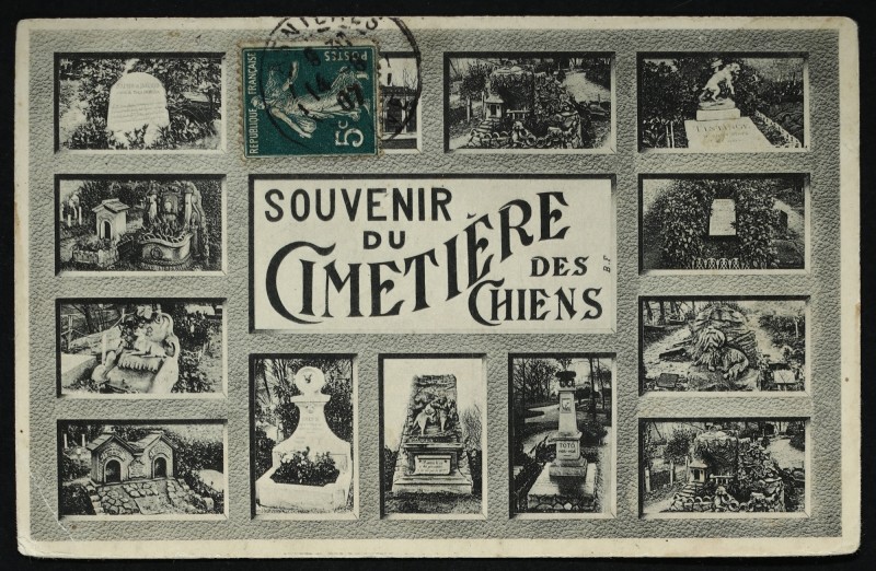 Carte postale ancienne Souvenirs du Cimetière des Chiens à Asnières-sur-Seine