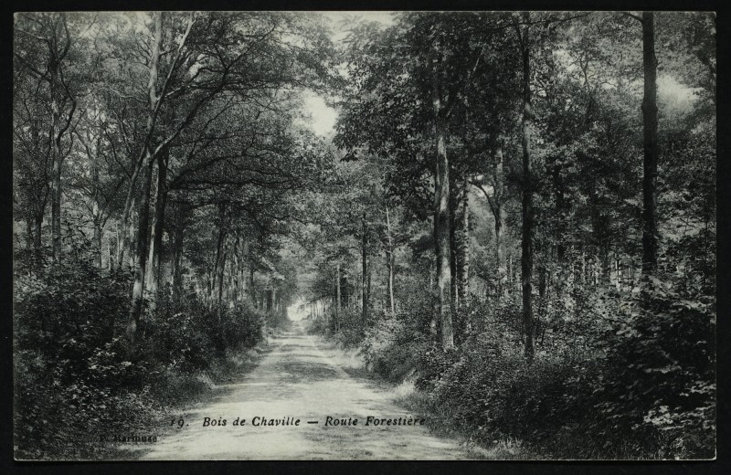 Carte postale ancienne Route Forestière à Chaville