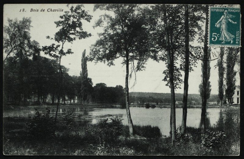 Carte postale ancienne Bois de Chaville à Chaville