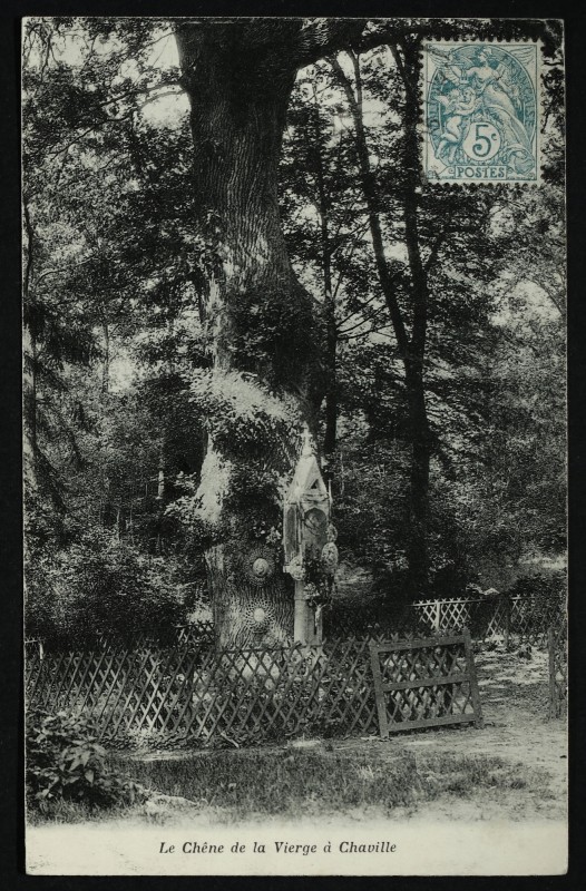 Carte postale ancienne Le Chêne de la Vierge à Chaville à Chaville