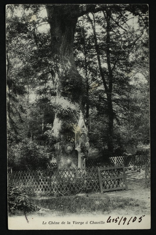 Carte postale ancienne Le Chêne de la Vierge à Chaville à Chaville