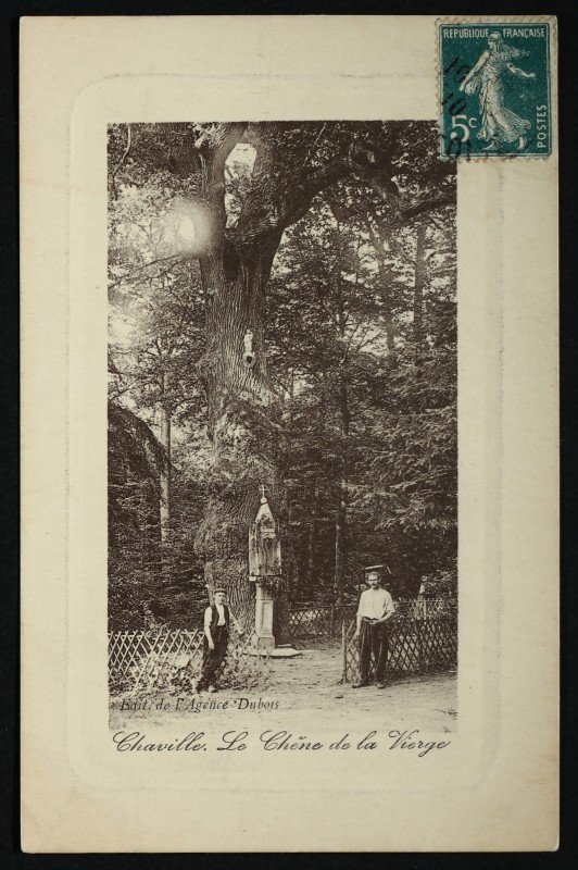 Carte postale ancienne Le Chêne de la Vierge à Chaville à Chaville
