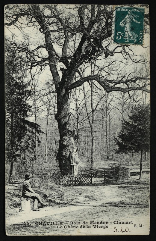 Carte postale ancienne Le Chêne de la Vierge à Chaville à Chaville
