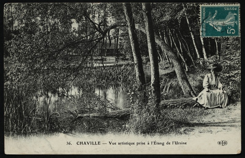 Carte postale ancienne Vue artistique prise à l'Etang de l'Ursine à Chaville
