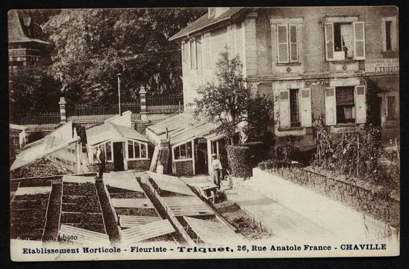Carte postale ancienne Etablissement Horticole - Fleuriste - Triquet, 26, Rue Anatole France - chaville à Chaville