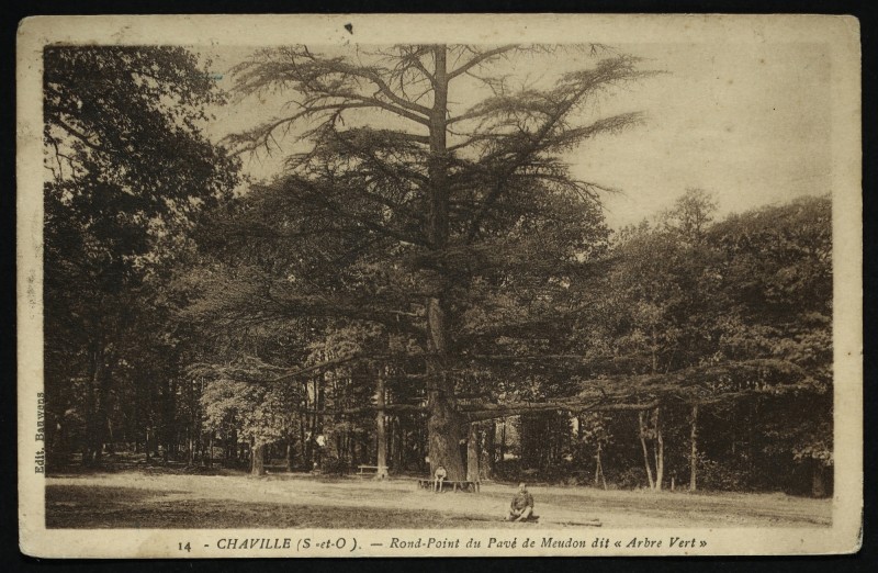 Carte postale ancienne Rond-Point du Pavé de Meudon dit "Arbre Vert" à Chaville