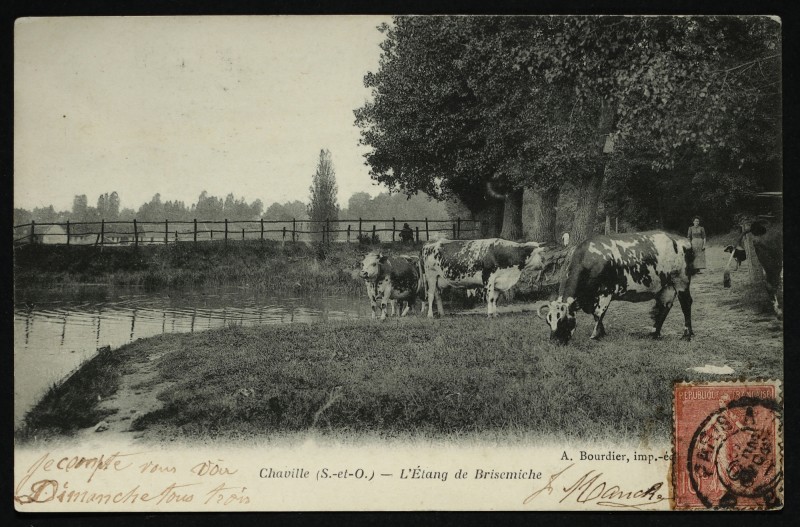 Carte postale ancienne L'Etang de Brisemiche à Chaville