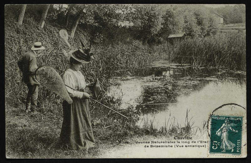 Carte postale ancienne Jeunes Naturalistes le long de l'Etang de Brisemiche (Vue artistique) à Chaville