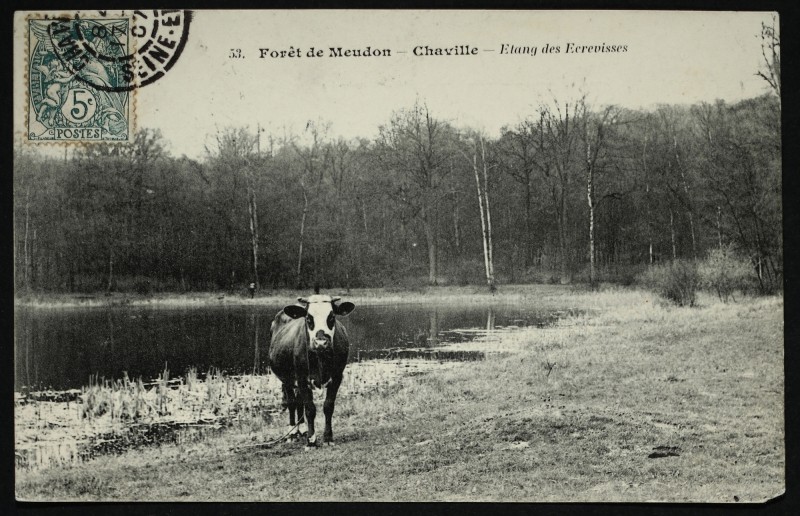 Carte postale ancienne Forêt de Meudon - Chaville - Etang des Ecrevisses à Vélizy-Villacoublay