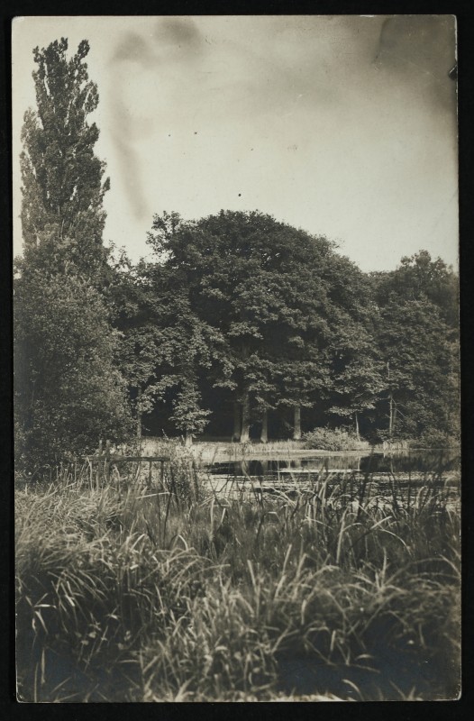 Carte postale ancienne Etang des Ecrevisses à Chaville