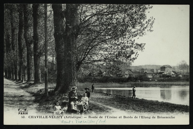 Carte postale ancienne Route de l'Ursine et bords de l'Etang de Brisemiche à Chaville