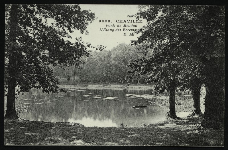 Carte postale ancienne L'Etang des Ecrevisses à Chaville