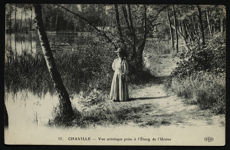 Carte postale ancienne Vue artistique prise à l'Etang de l'Ursine à Chaville