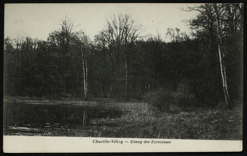 Carte postale ancienne Etang des Ecrevisses à Chaville