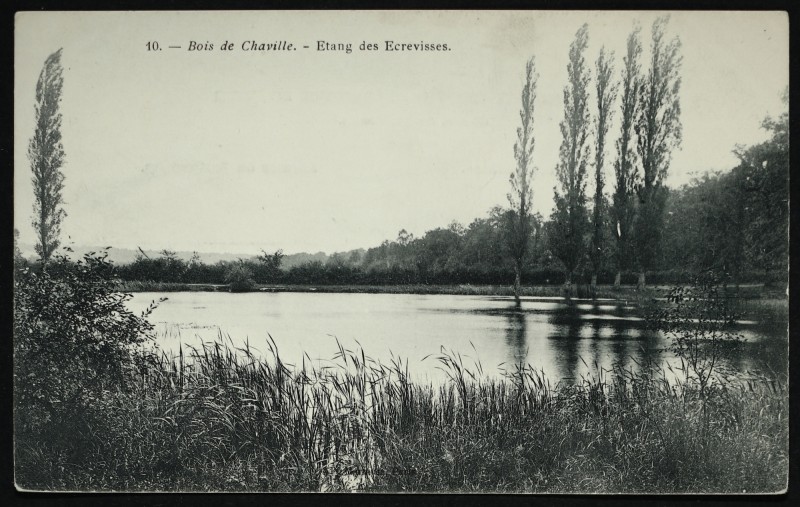 Carte postale ancienne Etang des Ecrevisses à Chaville