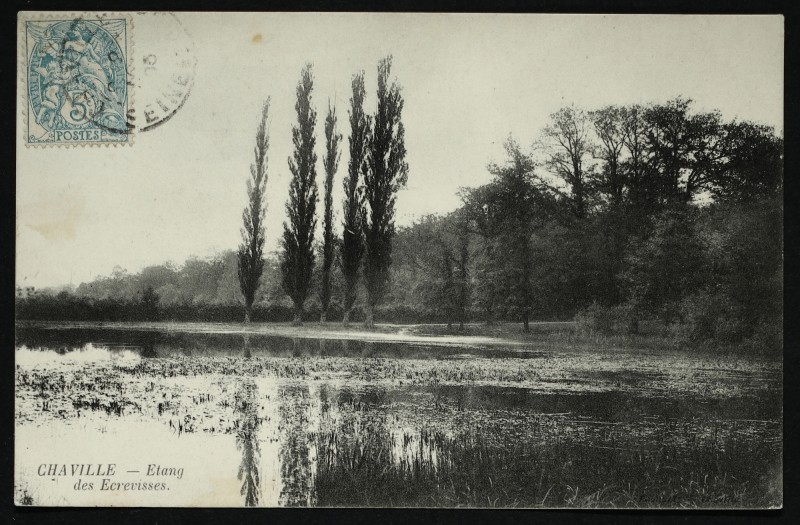 Carte postale ancienne Etang des Ecrevisses à Chaville