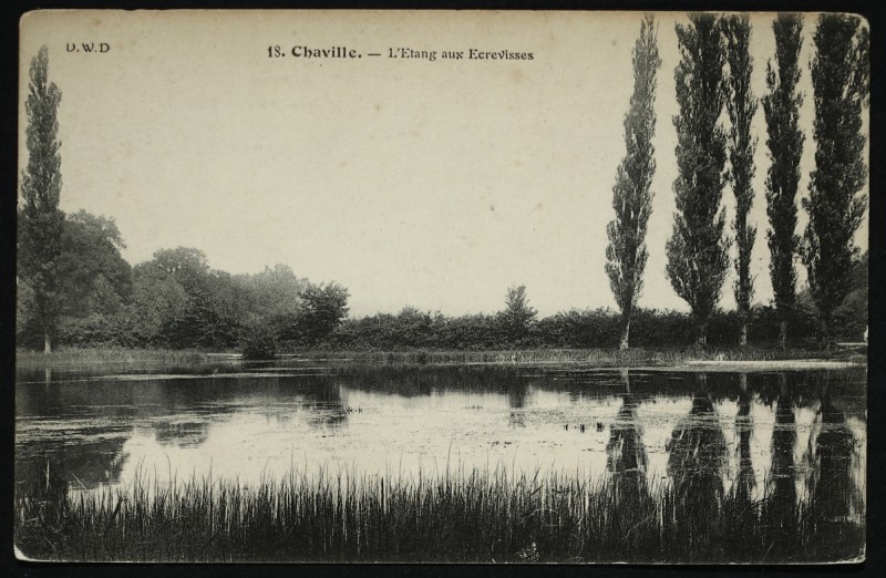 Carte postale ancienne L'Etang des Ecrevisses à Chaville