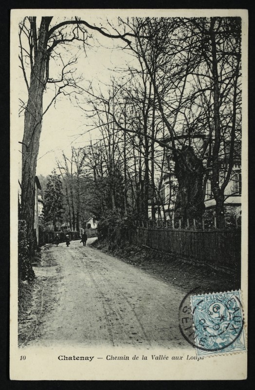 Carte postale ancienne Chemin de la Vallée aux Loups à Châtenay-Malabry